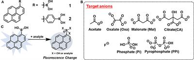 Fluorescence Anion Chemosensor Array Based on Pyrenylboronic Acid